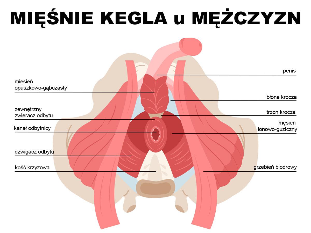 Wzmacnianie mięśni Kegla u mężczyzn